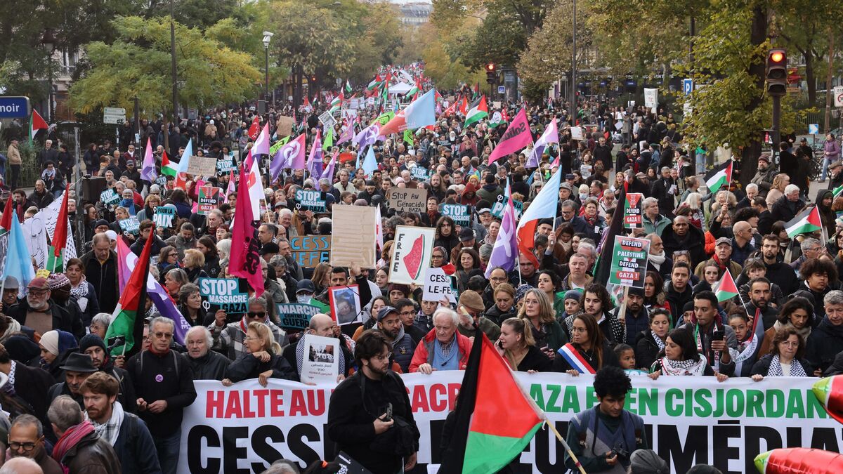 manif paris palestine