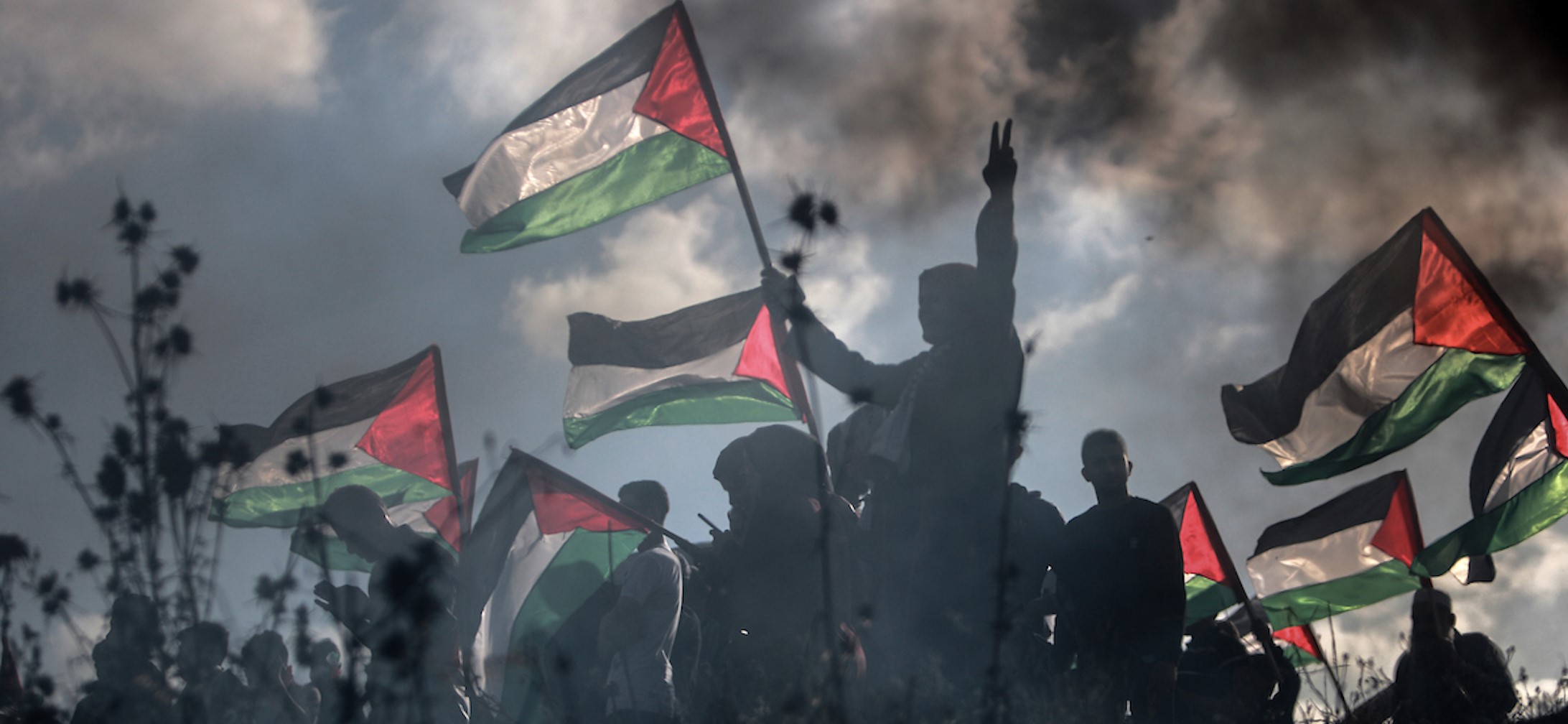 resistancecombatpalestine