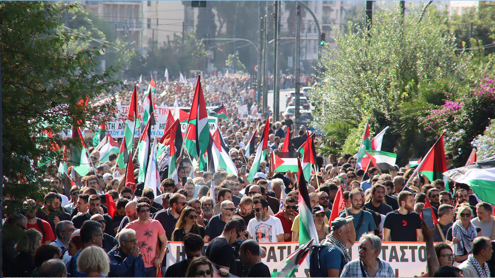 palestine 2311 athenes